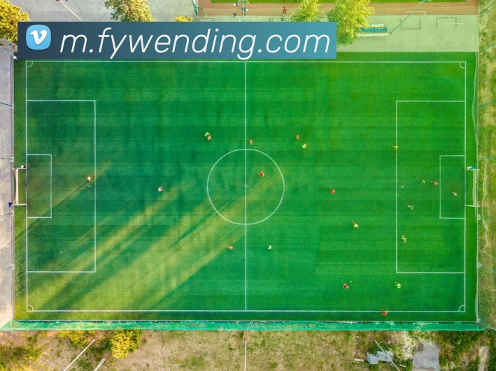 问鼎28平台生态图